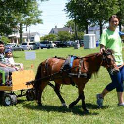 Horse and Children